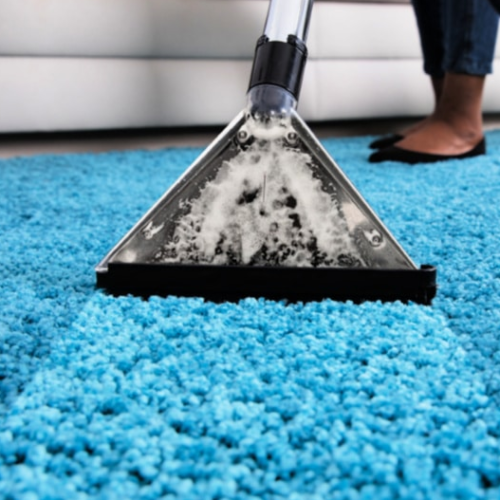 carpet cleaning service