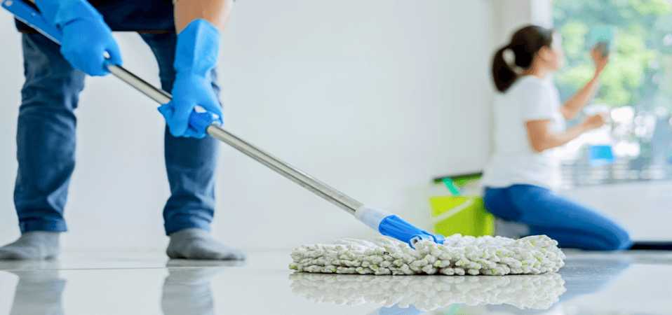 organic house cleaning services